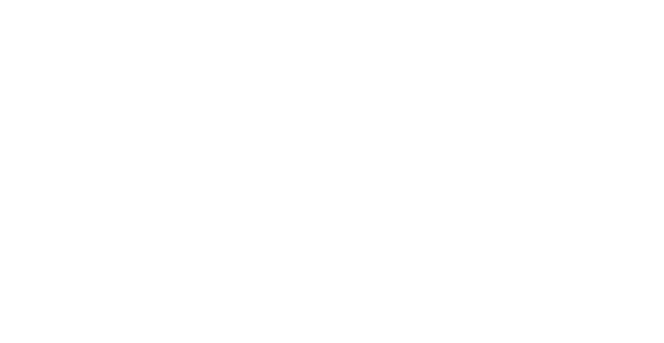 Botany 500 White Logo